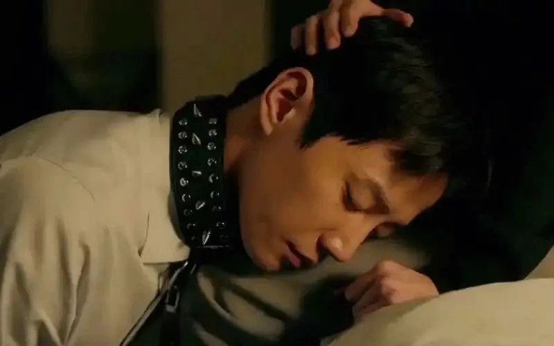西檬之家字母圈的小圈是什么样的存在? 一