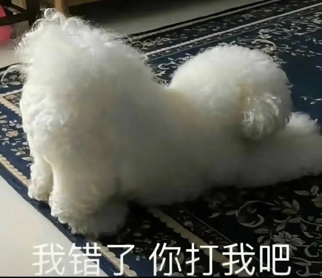 西檬之家字母圈sub是什么?带你深入了解臣服者的角色与魅力 一