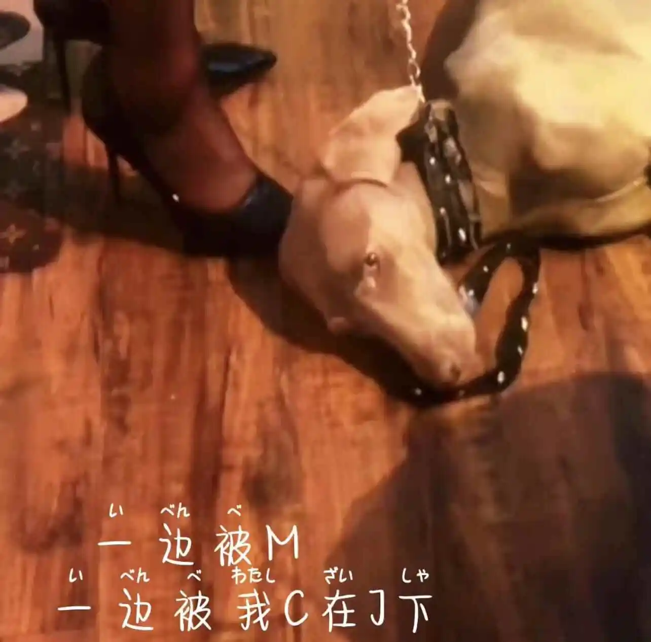 西檬之家安全词的正确使用方法,你了解吗? 一