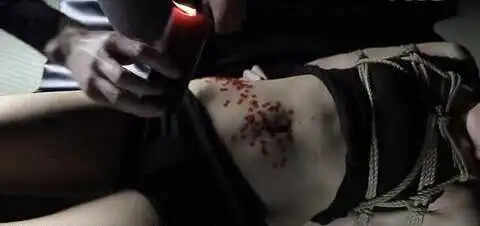 西檬之家字母圈的SSC原则是什么?确保你的体验安全与知情! 一