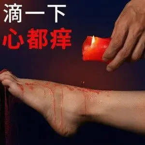 西檬之家字母圈中的女王魅力与权力解析 一