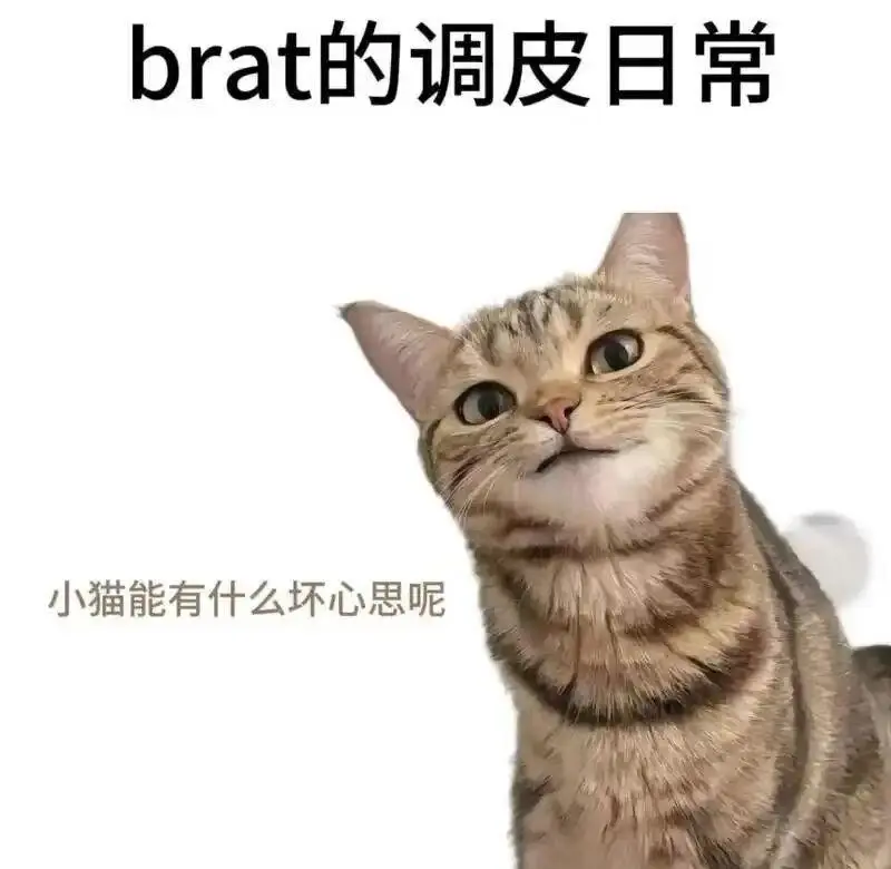 西檬之家ddlg是什么?深入解析字母圈中的这种独特关系形式 一