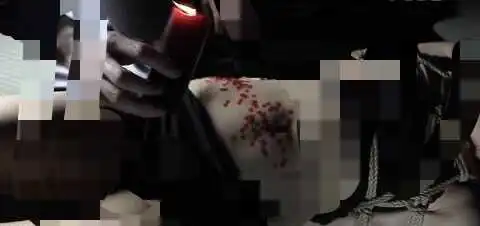 西檬之家sm亚文化是什么?你了解它的魅力和边界吗? 一