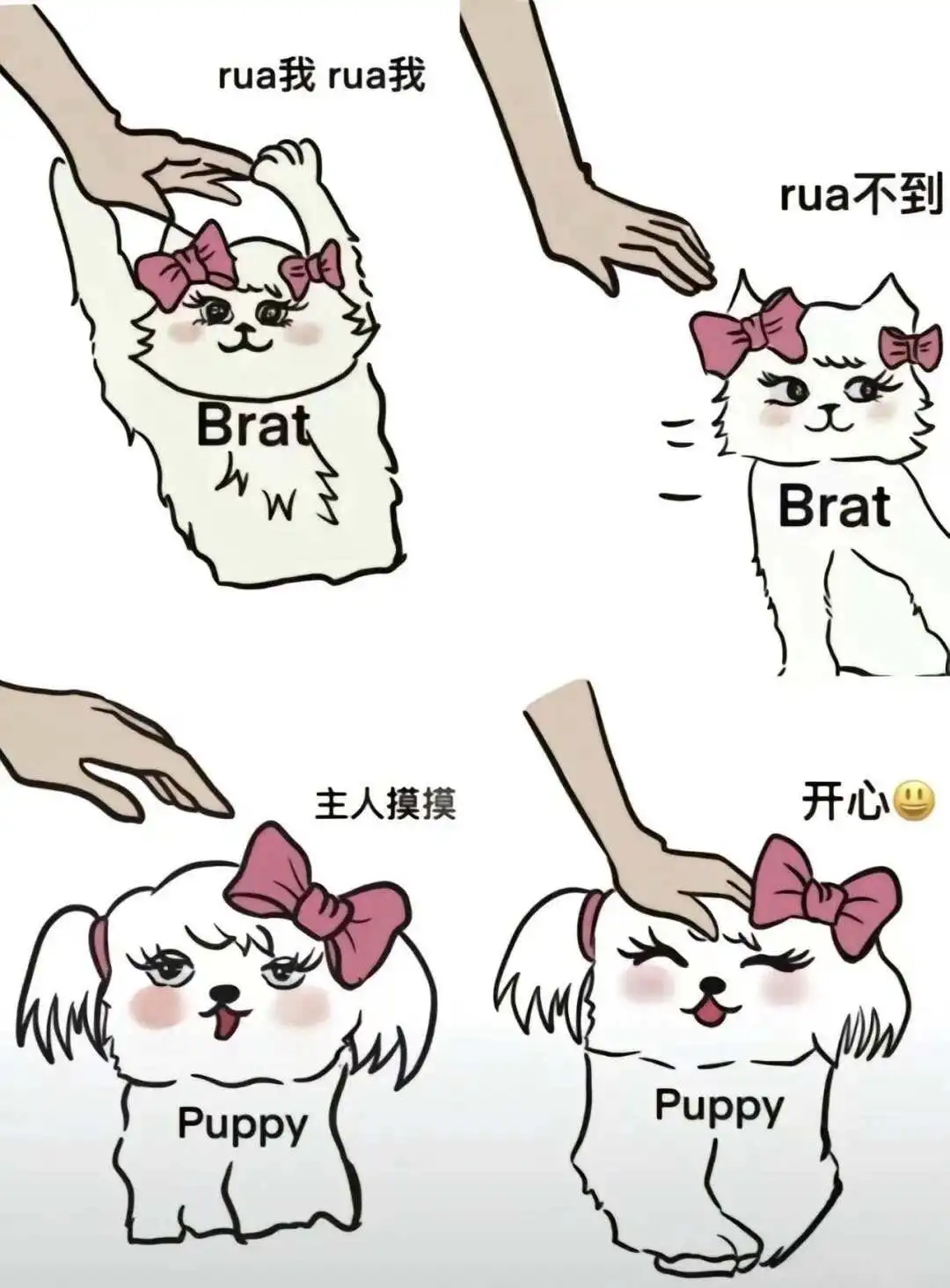 西檬之家2025年K9犬系文化全面解析 一