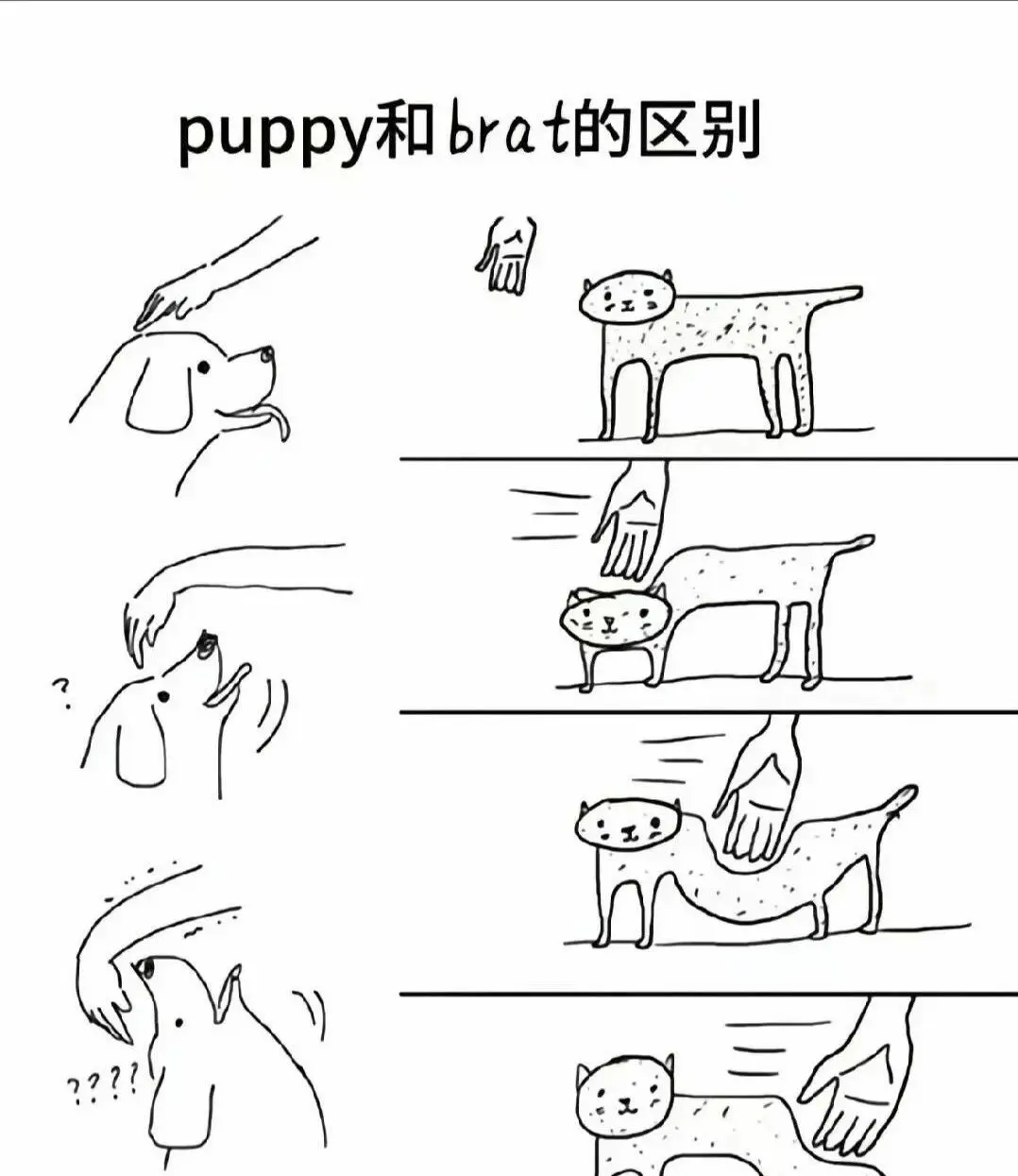 西檬之家sp小圈是什么?了解你的字母圈新属性 一