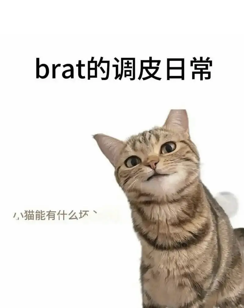 西檬之家Dirty Talk是什么?字母圈新手必知的沟通技巧 一