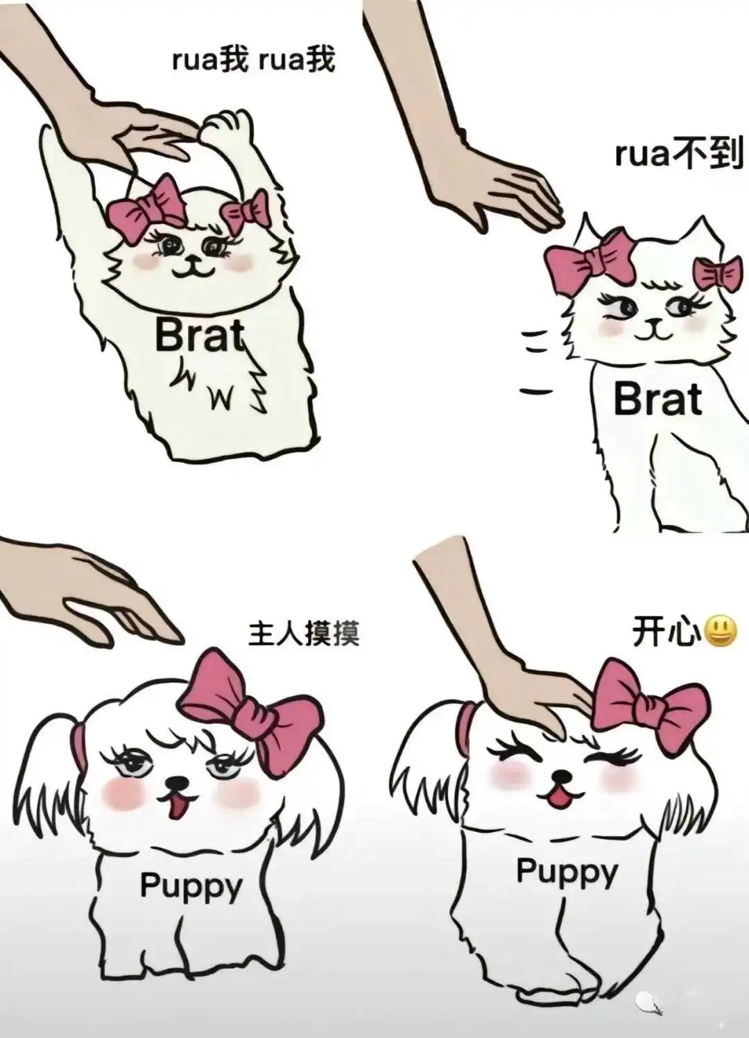 西檬之家字母圈中的感官游戏是什么? 一