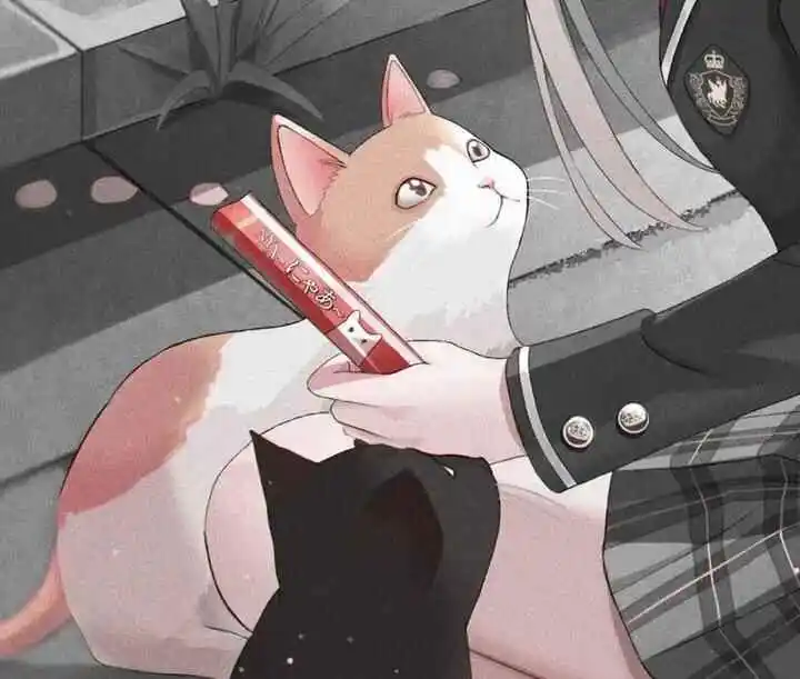 西檬之家字母圈中DOM的角色解析与实践技巧 一